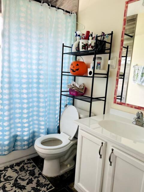 Room In Citrus Park And Carollwood, Close To The Airport & Downtown Τάμπα Εξωτερικό φωτογραφία