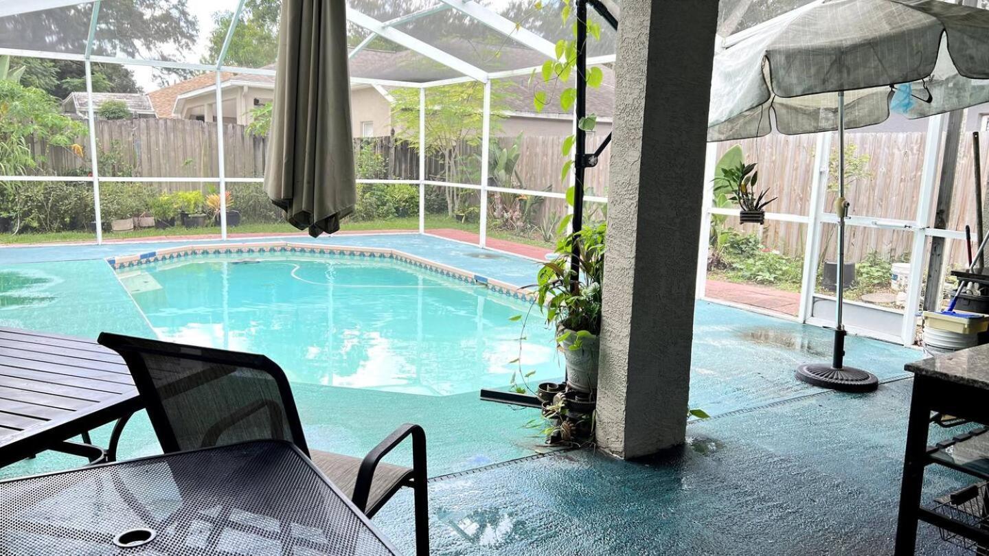 Room In Citrus Park And Carollwood, Close To The Airport & Downtown Τάμπα Εξωτερικό φωτογραφία