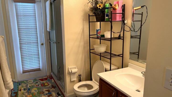 Room In Citrus Park And Carollwood, Close To The Airport & Downtown Τάμπα Εξωτερικό φωτογραφία